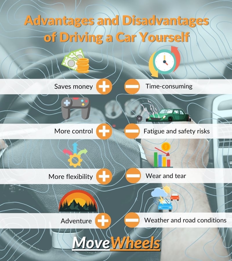 Advantages and Disadvantages of Driving a Car Yourself