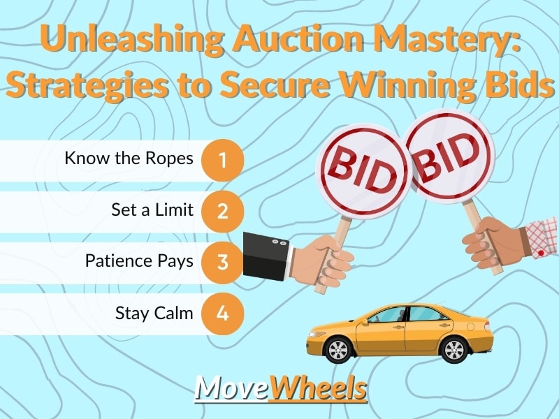 Winning Strategies at Auctions