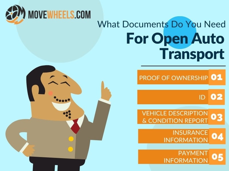 Open Vehicle Transport: How it Works and How Much It Costs in 2024 8 Open Vehicle Transport: How it Works and How Much It Costs in 2024 4